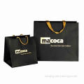 Paper Gift Bag, Eco-friendly, Suitable for Promotional/Shopping Purposes, Customized Designs/Sizes